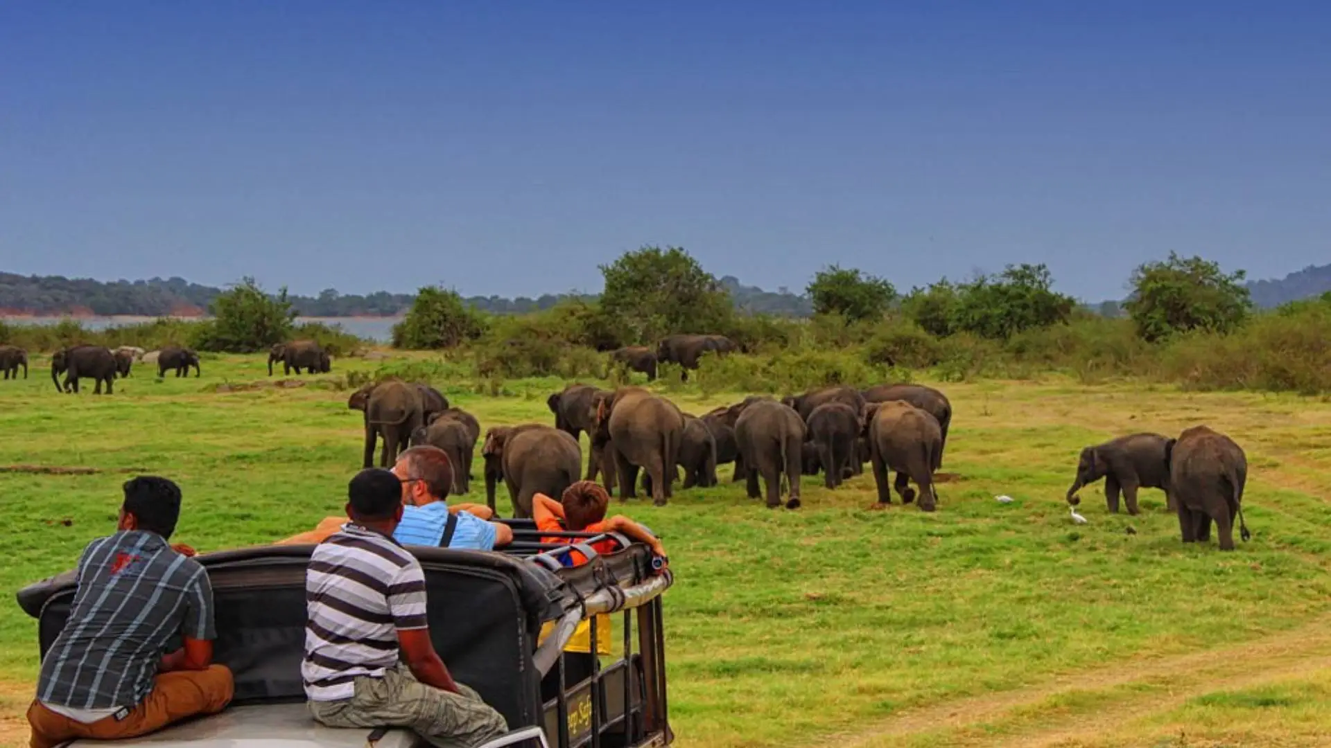 Full Day Explorer Safari
